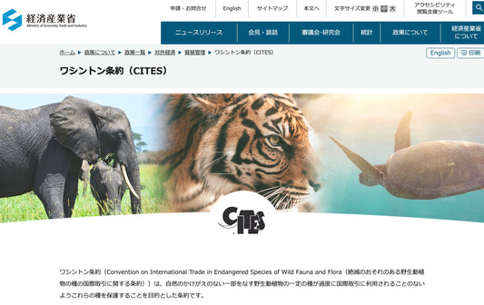クロコダイルとワシントン条約(CITES)