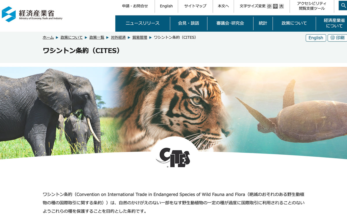 クロコダイルとワシントン条約（CITES） – クロコダイルブックカバーの 